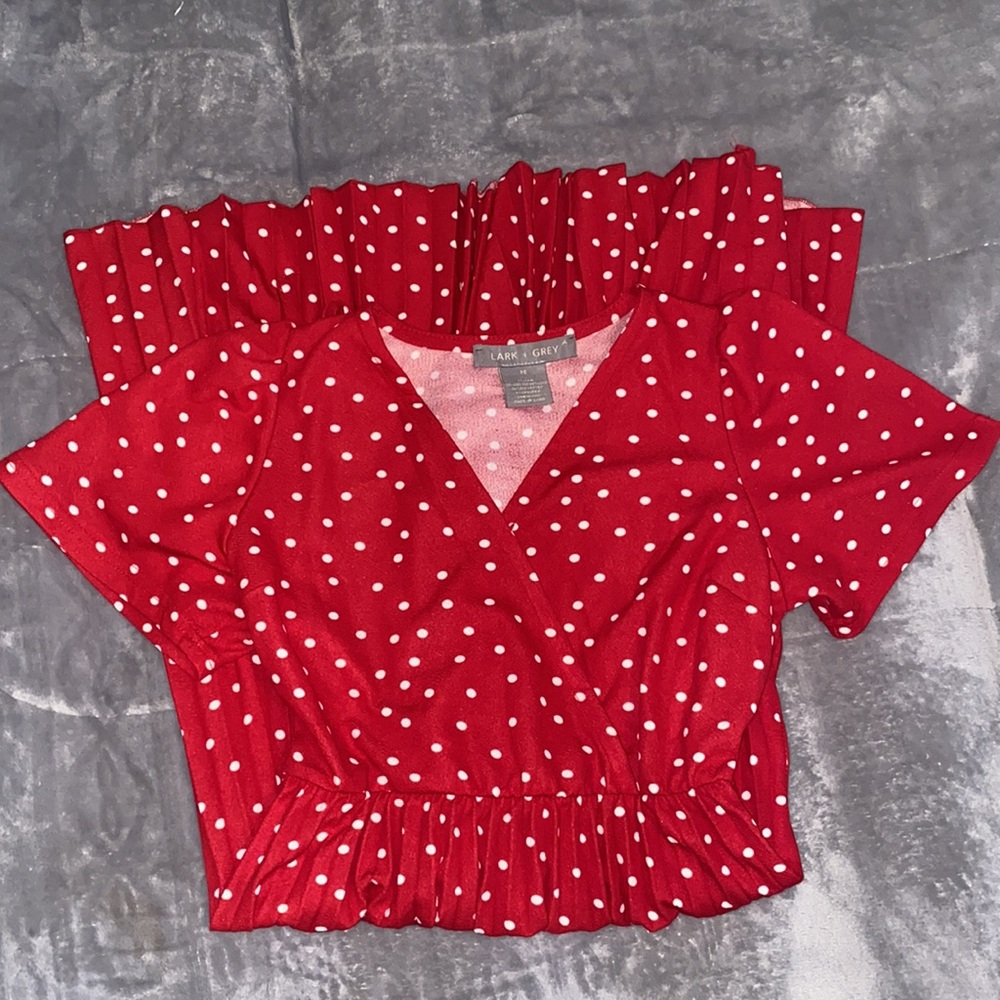 Lark+ Grey Mid Length Polka Dot Red Dress